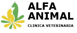 Alfa Animal
